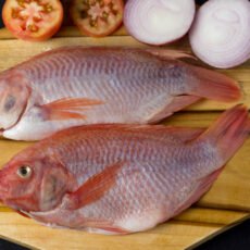 TILAPIA ECOCARNES