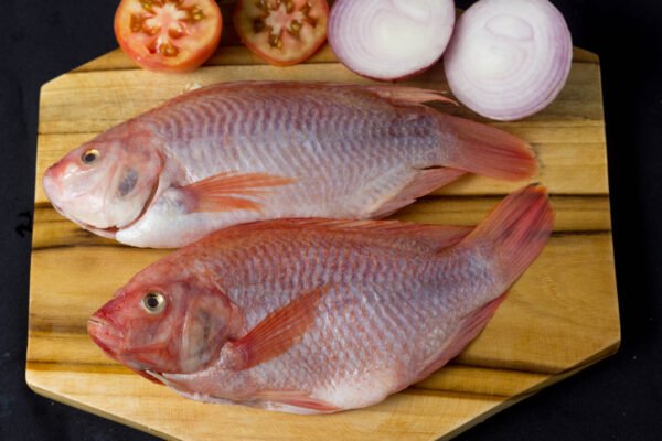 TILAPIA ECOCARNES