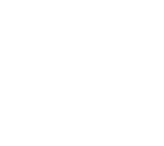 ICONO CERDO